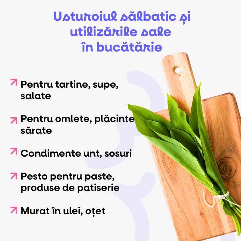 (Rumunština) (6)